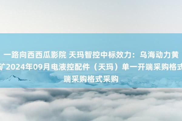 一路向西西瓜影院 天玛智控中标效力：乌海动力黄白茨矿2024年09月电液控配件（天玛）单一开端采购格式采购