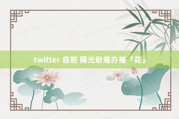 twitter 自慰 陽光盼难办摧「花」