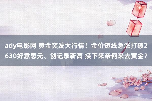 ady电影网 黄金突发大行情！金价短线急涨打破2630好意思元、创记录新高 接下来奈何来去黄金？