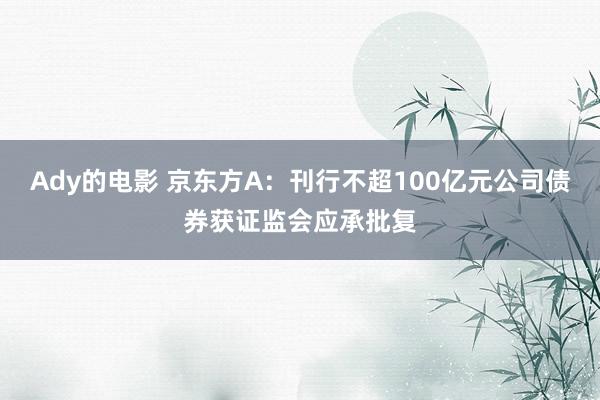 Ady的电影 京东方A：刊行不超100亿元公司债券获证监会应承批复