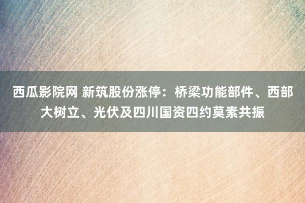 西瓜影院网 新筑股份涨停：桥梁功能部件、西部大树立、光伏及四川国资四约莫素共振