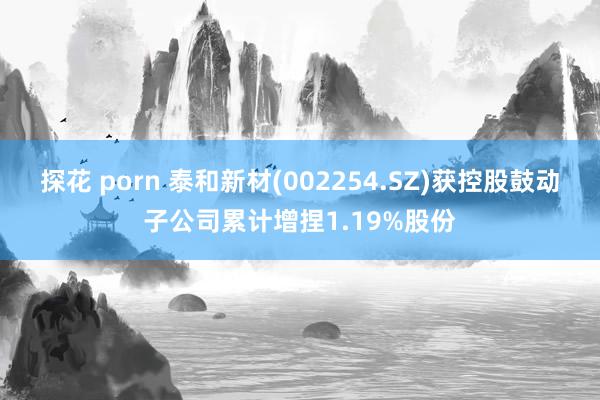 探花 porn 泰和新材(002254.SZ)获控股鼓动子公司累计增捏1.19%股份