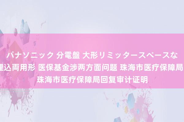 パナソニック 分電盤 大形リミッタースペースなし 露出・半埋込両用形 医保基金涉两方面问题 珠海市医疗保障局回复审计证明