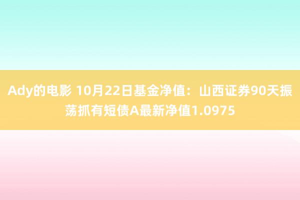 Ady的电影 10月22日基金净值：山西证券90天振荡抓有短债A最新净值1.0975