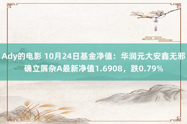 Ady的电影 10月24日基金净值：华润元大安鑫无邪确立羼杂A最新净值1.6908，跌0.79%