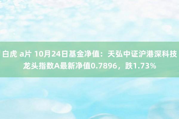 白虎 a片 10月24日基金净值：天弘中证沪港深科技龙头指数A最新净值0.7896，跌1.73%