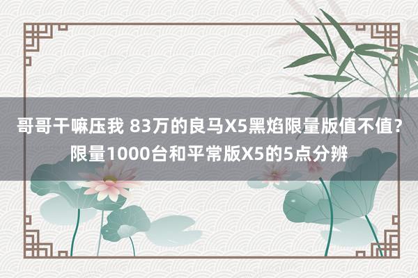 哥哥干嘛压我 83万的良马X5黑焰限量版值不值？限量1000台和平常版X5的5点分辨