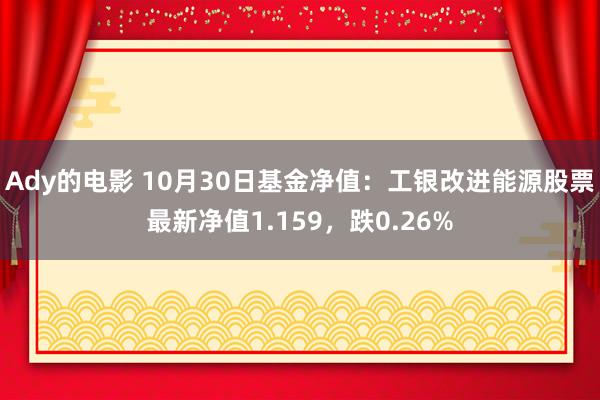 Ady的电影 10月30日基金净值：工银改进能源股票最新净值1.159，跌0.26%