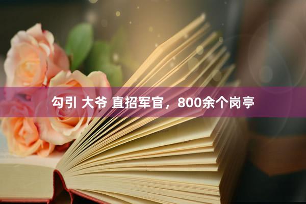 勾引 大爷 直招军官，800余个岗亭