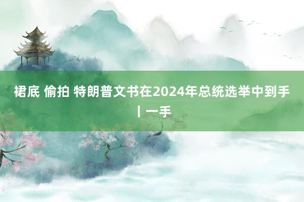 裙底 偷拍 特朗普文书在2024年总统选举中到手丨一手