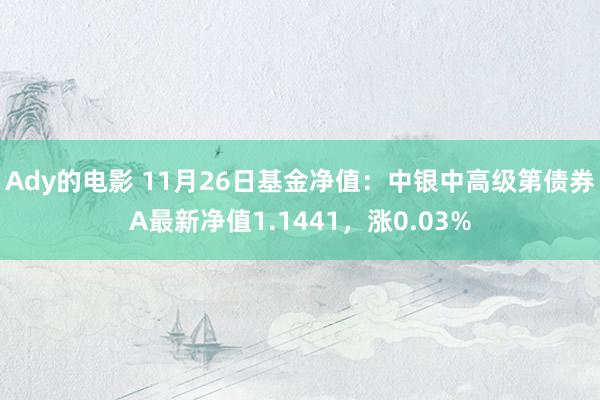 Ady的电影 11月26日基金净值：中银中高级第债券A最新净值1.1441，涨0.03%