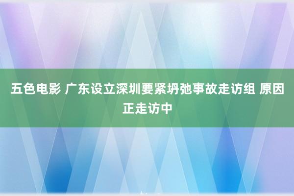 五色电影 广东设立深圳要紧坍弛事故走访组 原因正走访中