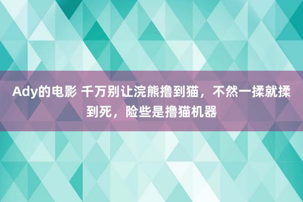 Ady的电影 千万别让浣熊撸到猫，不然一揉就揉到死，险些是撸猫机器