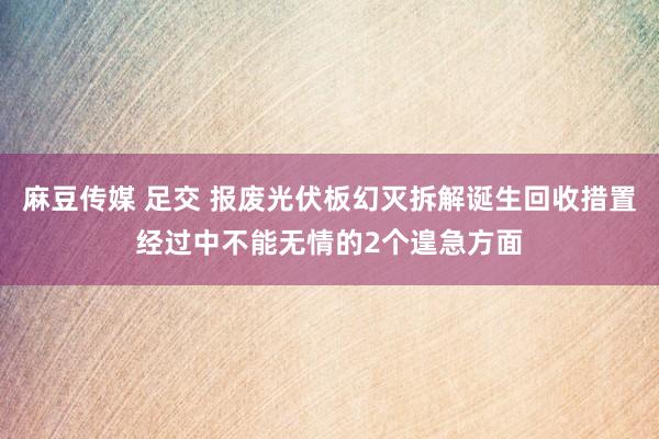 麻豆传媒 足交 报废光伏板幻灭拆解诞生回收措置经过中不能无情的2个遑急方面