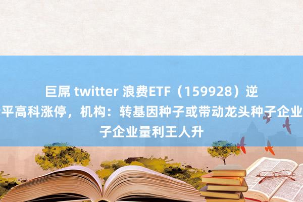 巨屌 twitter 浪费ETF（159928）逆市飘红，隆平高科涨停，机构：转基因种子或带动龙头种子企业量利王人升