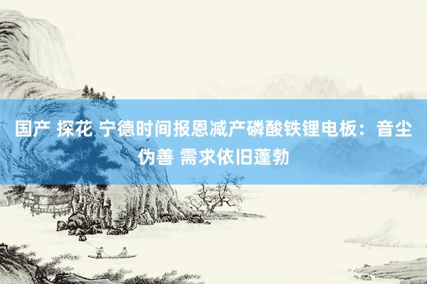 国产 探花 宁德时间报恩减产磷酸铁锂电板：音尘伪善 需求依旧蓬勃