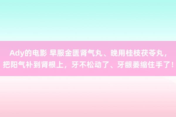 Ady的电影 早服金匮肾气丸、晚用桂枝茯苓丸，把阳气补到肾根上，牙不松动了、牙龈萎缩住手了！