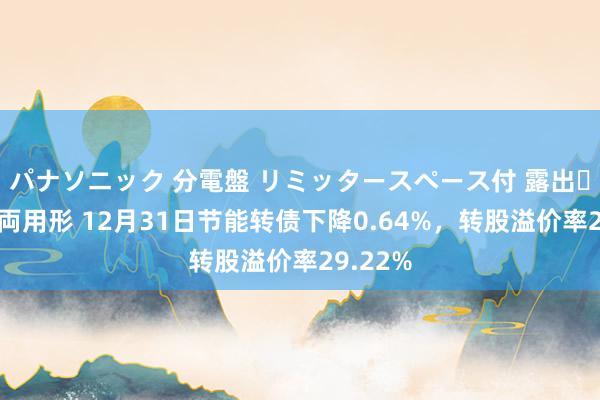 パナソニック 分電盤 リミッタースペース付 露出・半埋込両用形 12月31日节能转债下降0.64%，转股溢价率29.22%