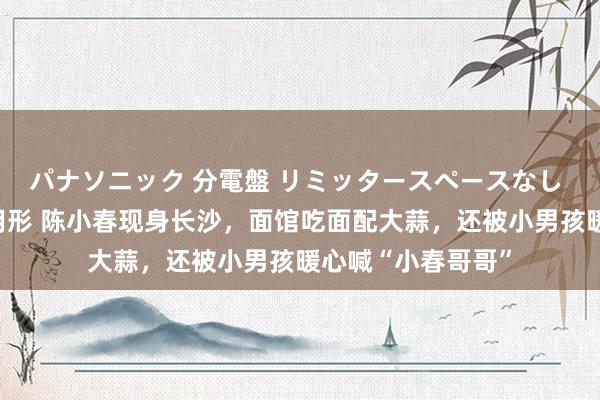 パナソニック 分電盤 リミッタースペースなし 露出・半埋込両用形 陈小春现身长沙，面馆吃面配大蒜，还被小男孩暖心喊“小春哥哥”