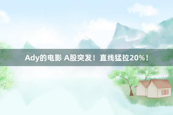 Ady的电影 A股突发！直线猛拉20%！