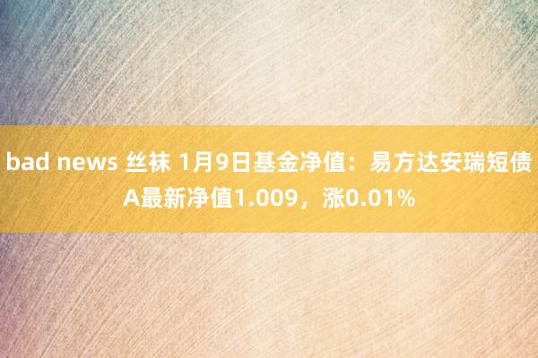 bad news 丝袜 1月9日基金净值：易方达安瑞短债A最新净值1.009，涨0.01%