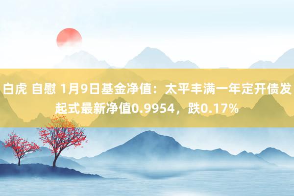 白虎 自慰 1月9日基金净值：太平丰满一年定开债发起式最新净值0.9954，跌0.17%