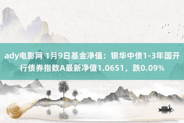 ady电影网 1月9日基金净值：银华中债1-3年国开行债券指数A最新净值1.0651，跌0.09%