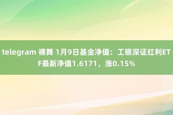 telegram 裸舞 1月9日基金净值：工银深证红利ETF最新净值1.6171，涨0.15%