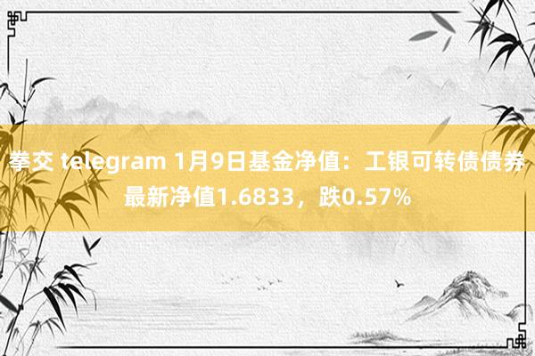 拳交 telegram 1月9日基金净值：工银可转债债券最新净值1.6833，跌0.57%