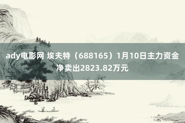 ady电影网 埃夫特（688165）1月10日主力资金净卖出2823.82万元