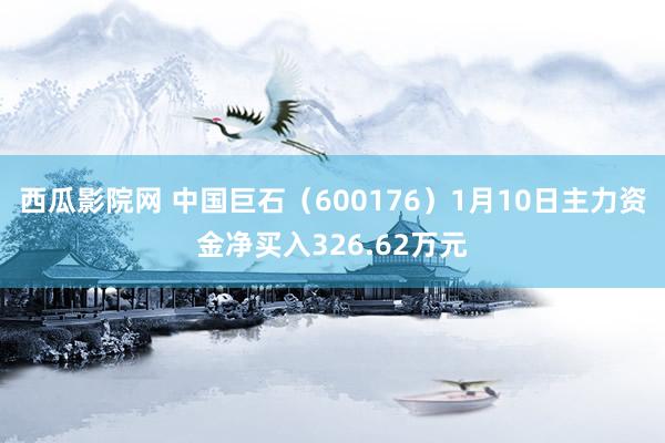 西瓜影院网 中国巨石（600176）1月10日主力资金净买入326.62万元