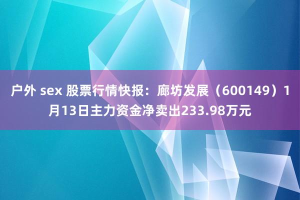 户外 sex 股票行情快报：廊坊发展（600149）1月13日主力资金净卖出233.98万元