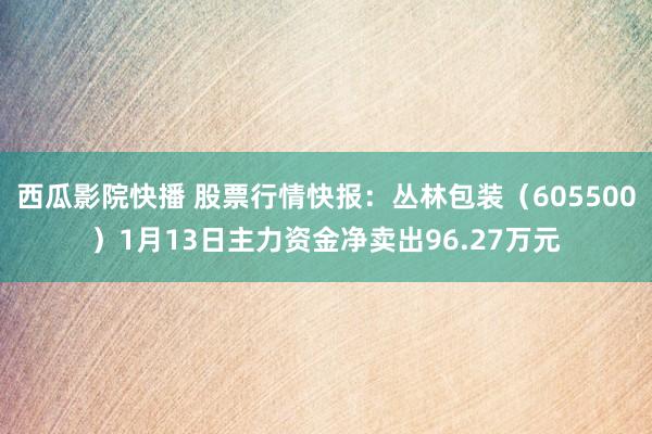 西瓜影院快播 股票行情快报：丛林包装（605500）1月13日主力资金净卖出96.27万元