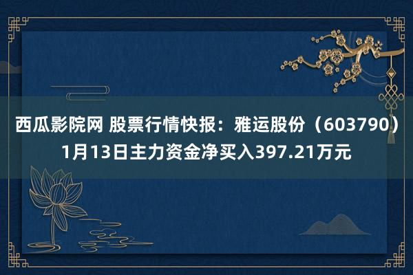 西瓜影院网 股票行情快报：雅运股份（603790）1月13日主力资金净买入397.21万元