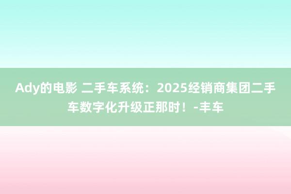 Ady的电影 二手车系统：2025经销商集团二手车数字化升级正那时！-丰车